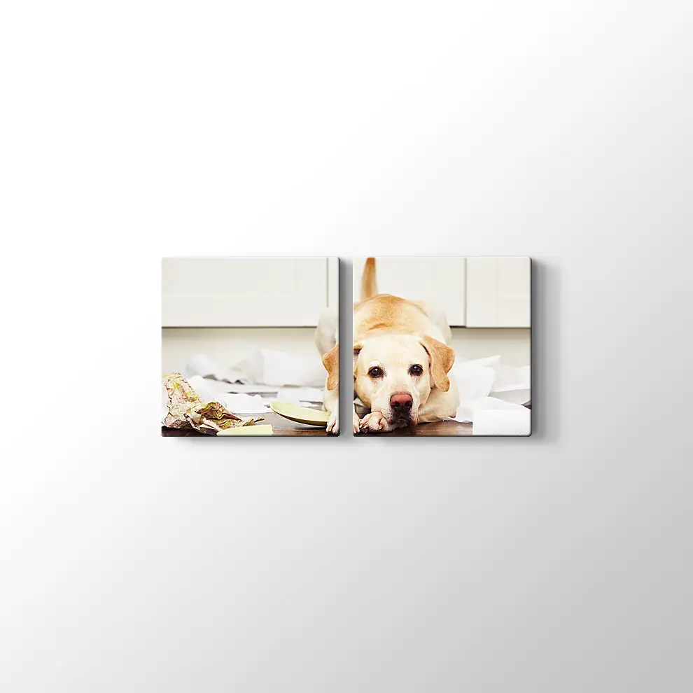 Sevimli Köpek Kanvas Tablo