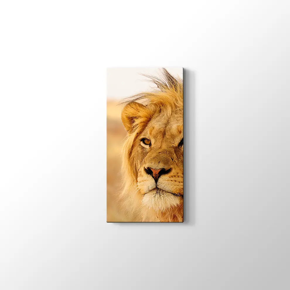 Ufka Bakan Aslan Kanvas Tablo