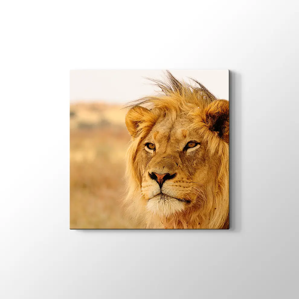 Ufka Bakan Aslan Kanvas Tablo