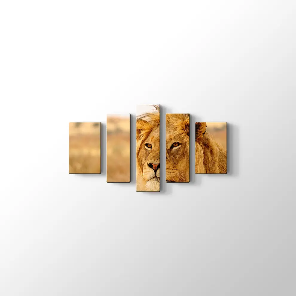 Ufka Bakan Aslan Kanvas Tablo