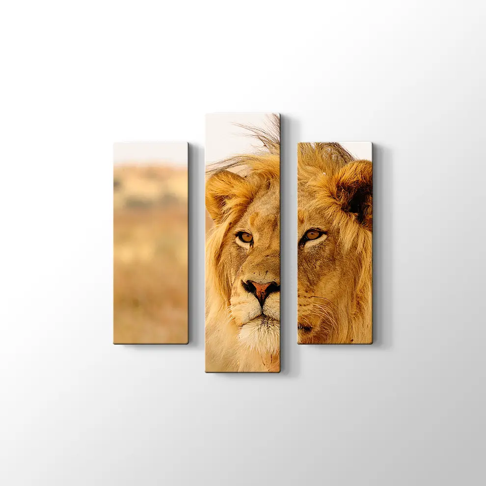 Ufka Bakan Aslan Kanvas Tablo