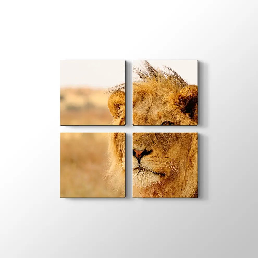 Ufka Bakan Aslan Kanvas Tablo