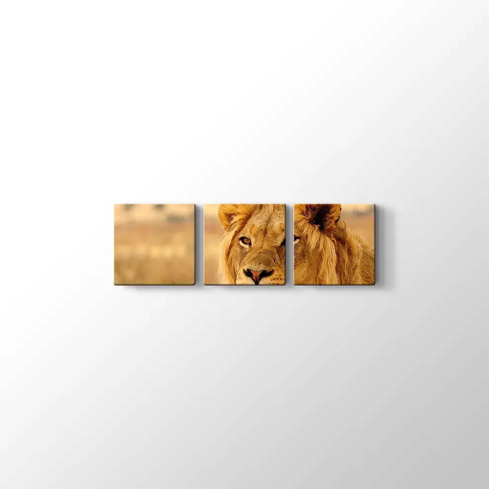 Ufka Bakan Aslan Kanvas Tablo