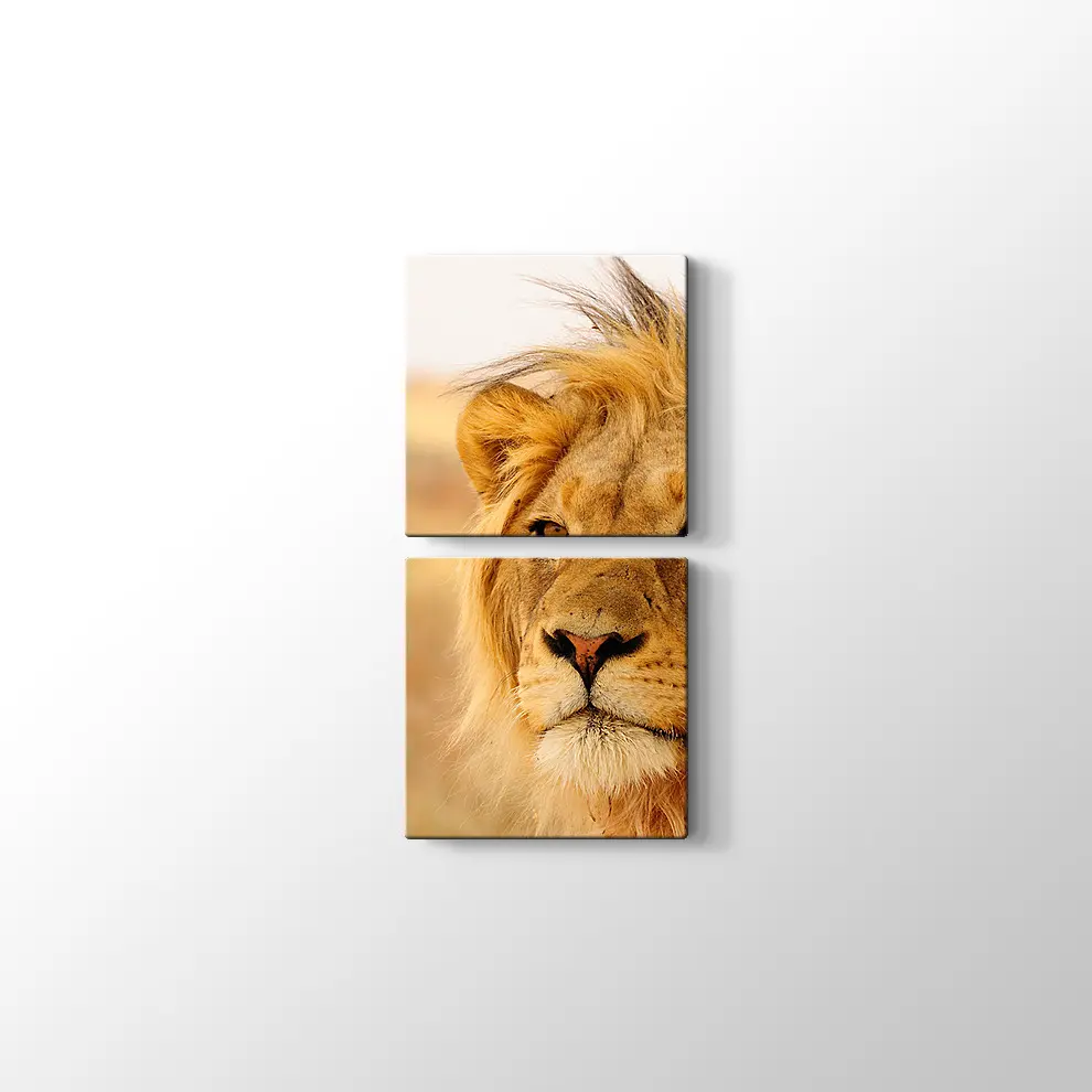 Ufka Bakan Aslan Kanvas Tablo