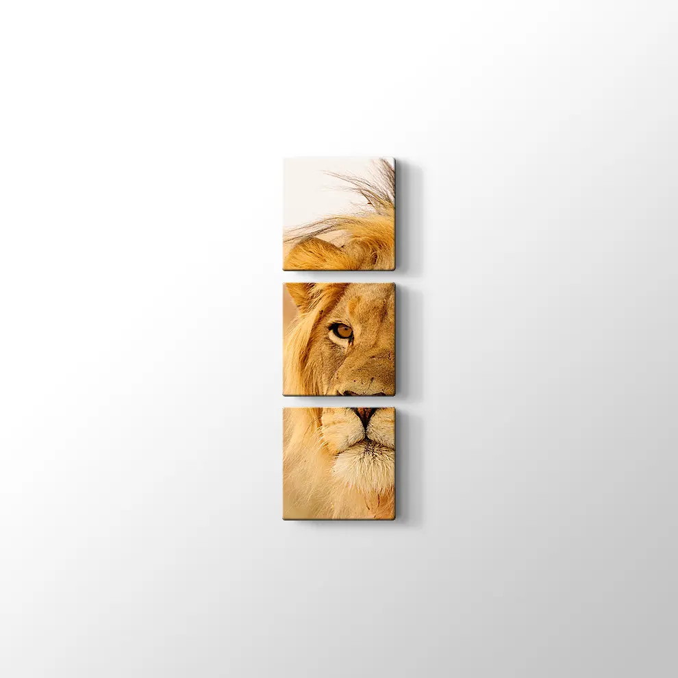 Ufka Bakan Aslan Kanvas Tablo