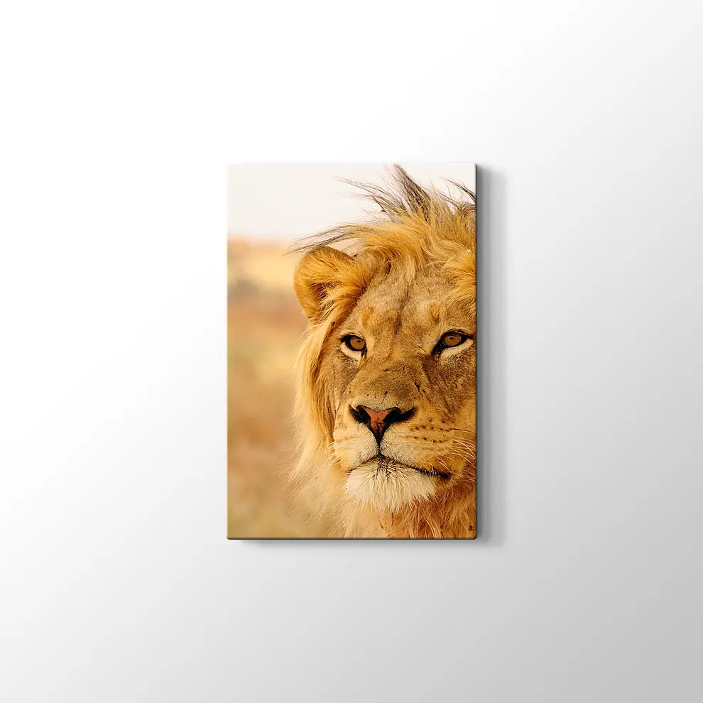 Ufka Bakan Aslan Kanvas Tablo
