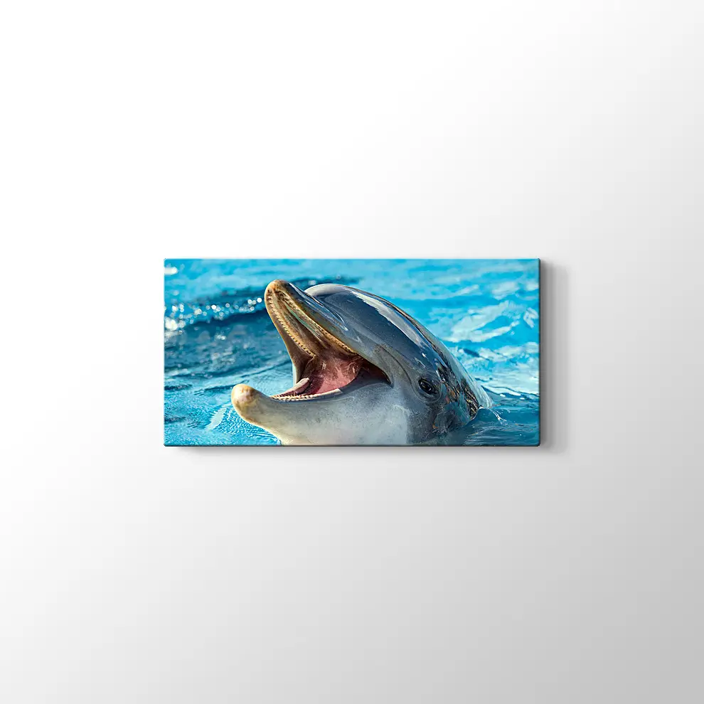 Sevimli Yunus Kanvas Tablo