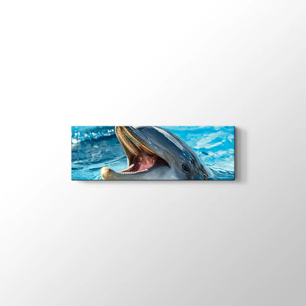 Sevimli Yunus Kanvas Tablo