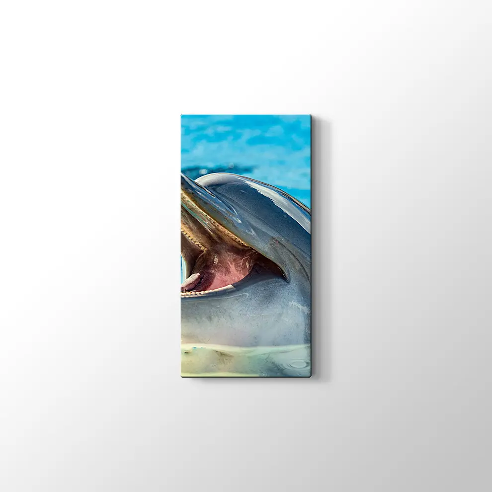 Sevimli Yunus Kanvas Tablo