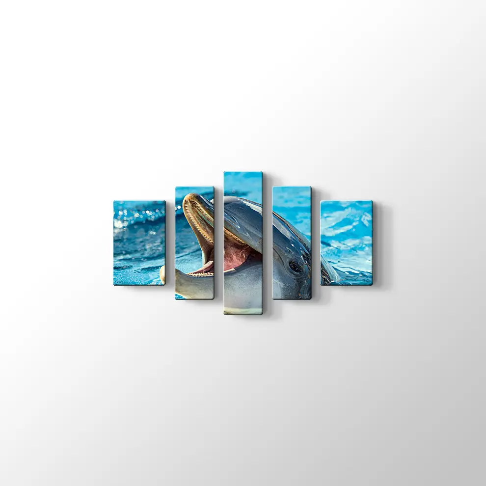 Sevimli Yunus Kanvas Tablo