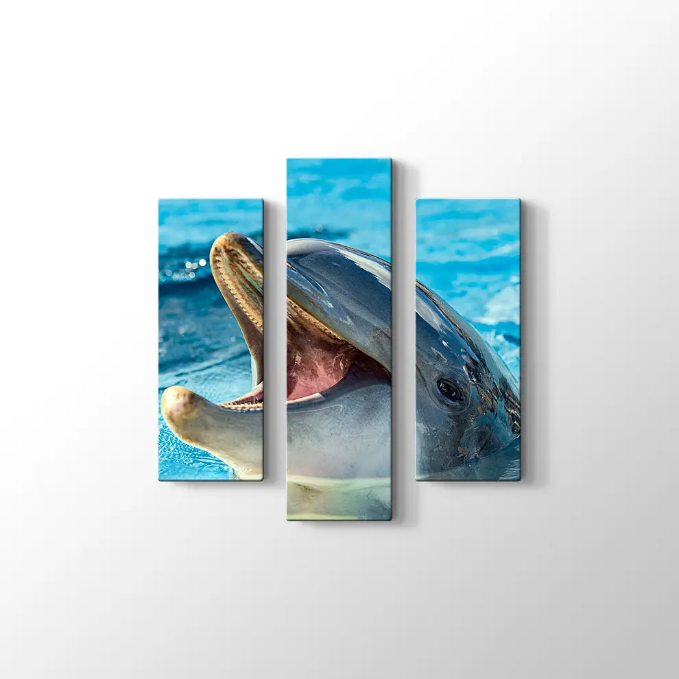 Sevimli Yunus Kanvas Tablo