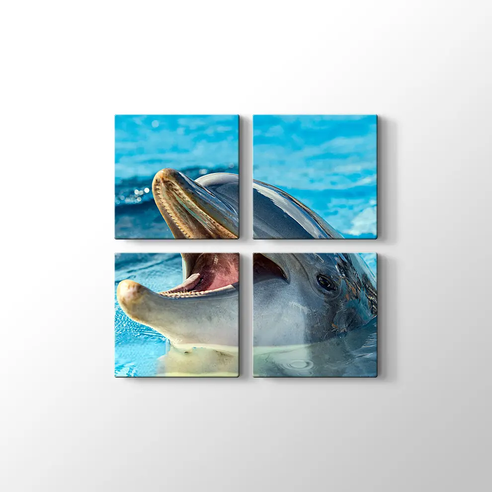 Sevimli Yunus Kanvas Tablo