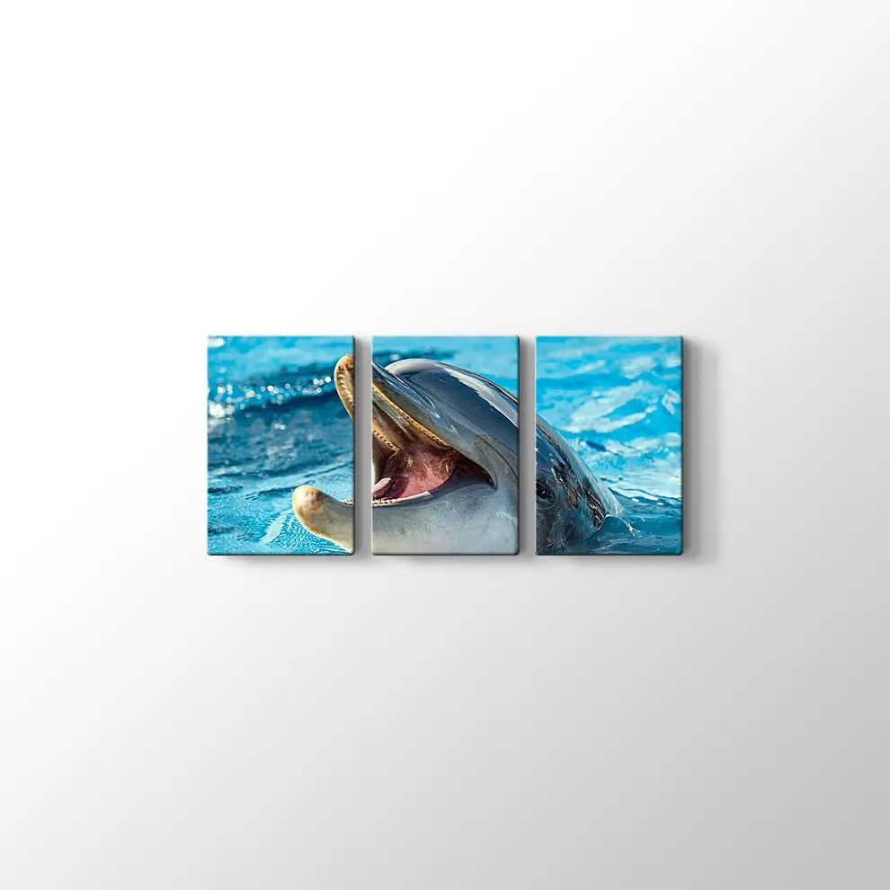 Sevimli Yunus Kanvas Tablo