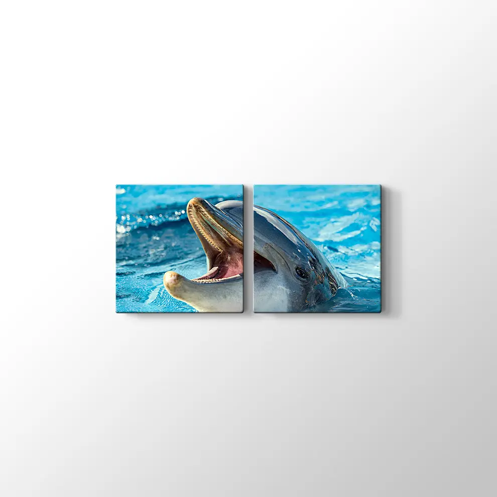 Sevimli Yunus Kanvas Tablo