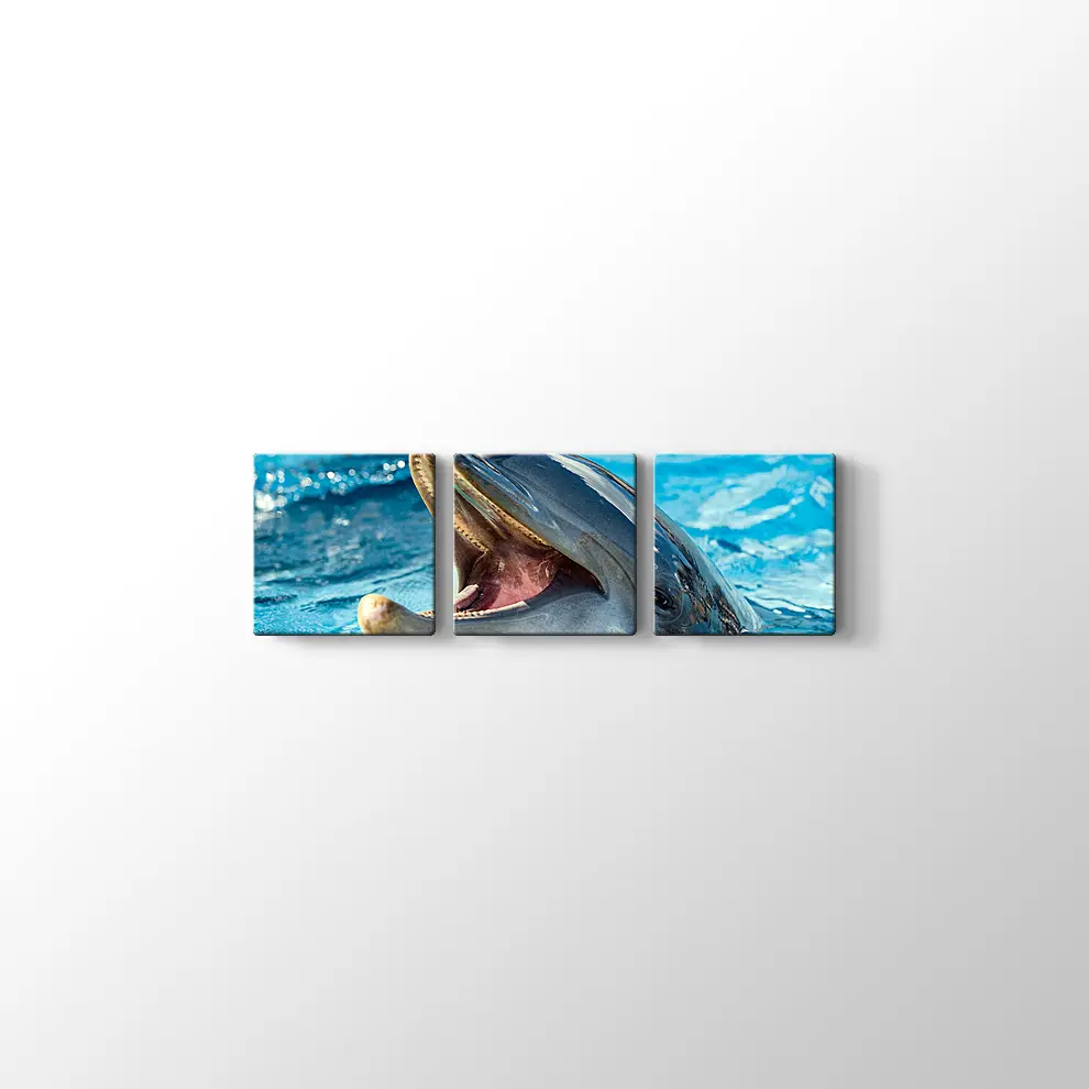 Sevimli Yunus Kanvas Tablo