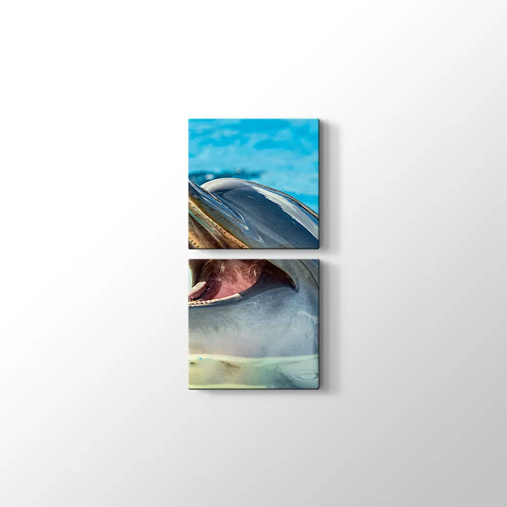 Sevimli Yunus Kanvas Tablo