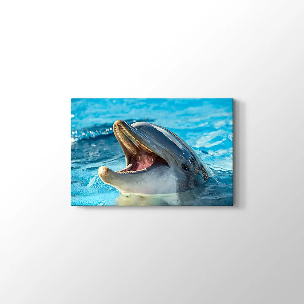 Sevimli Yunus Kanvas Tablo