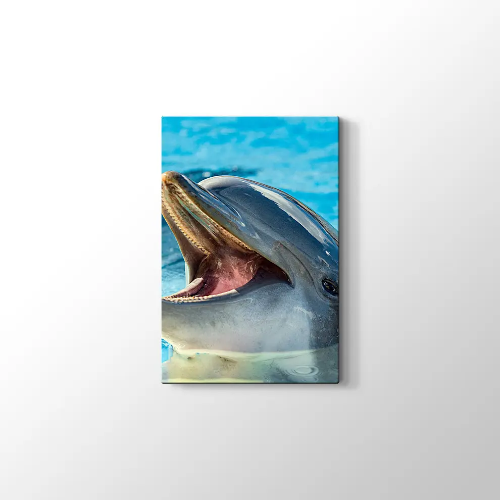 Sevimli Yunus Kanvas Tablo