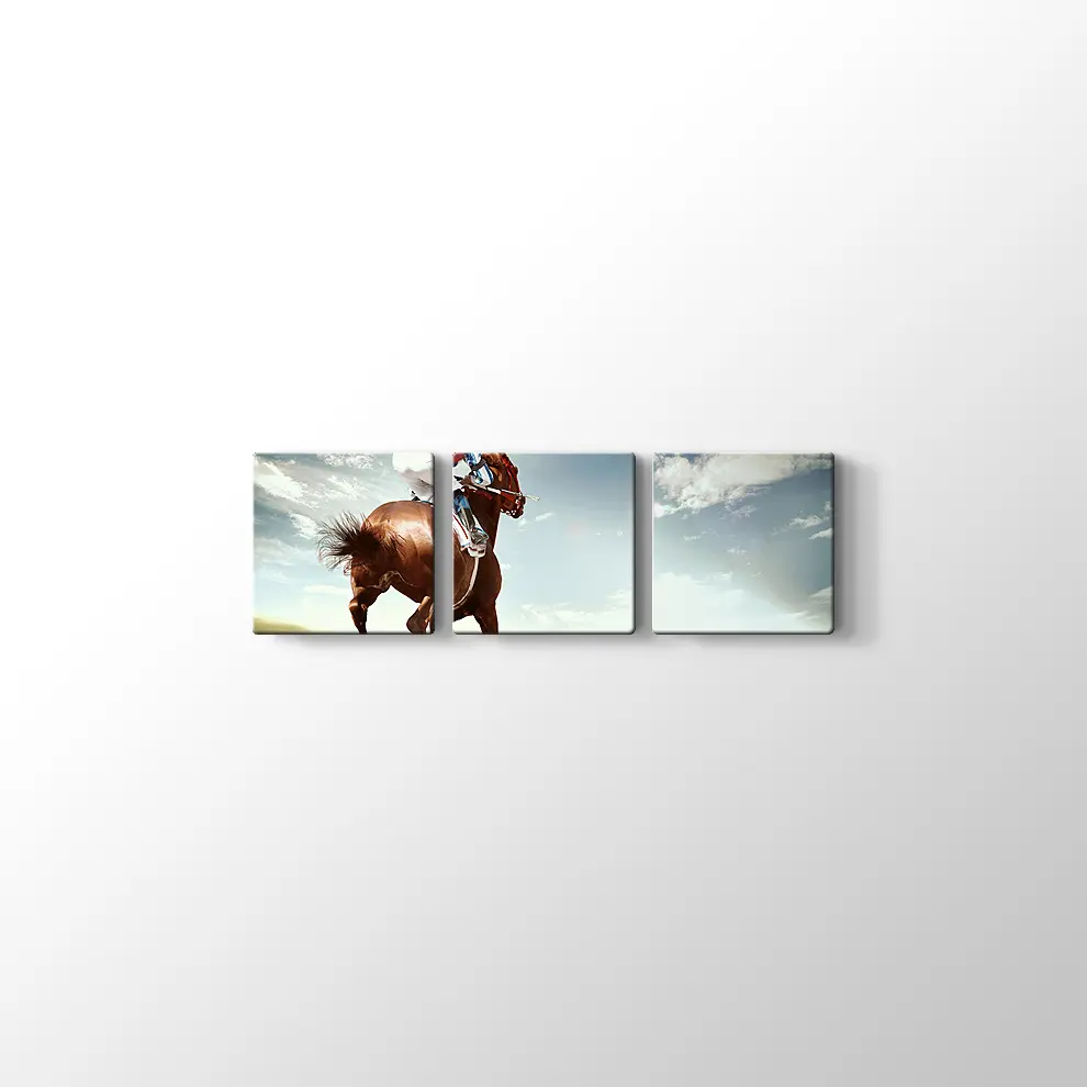 At ve Jokey Kanvas Tablo