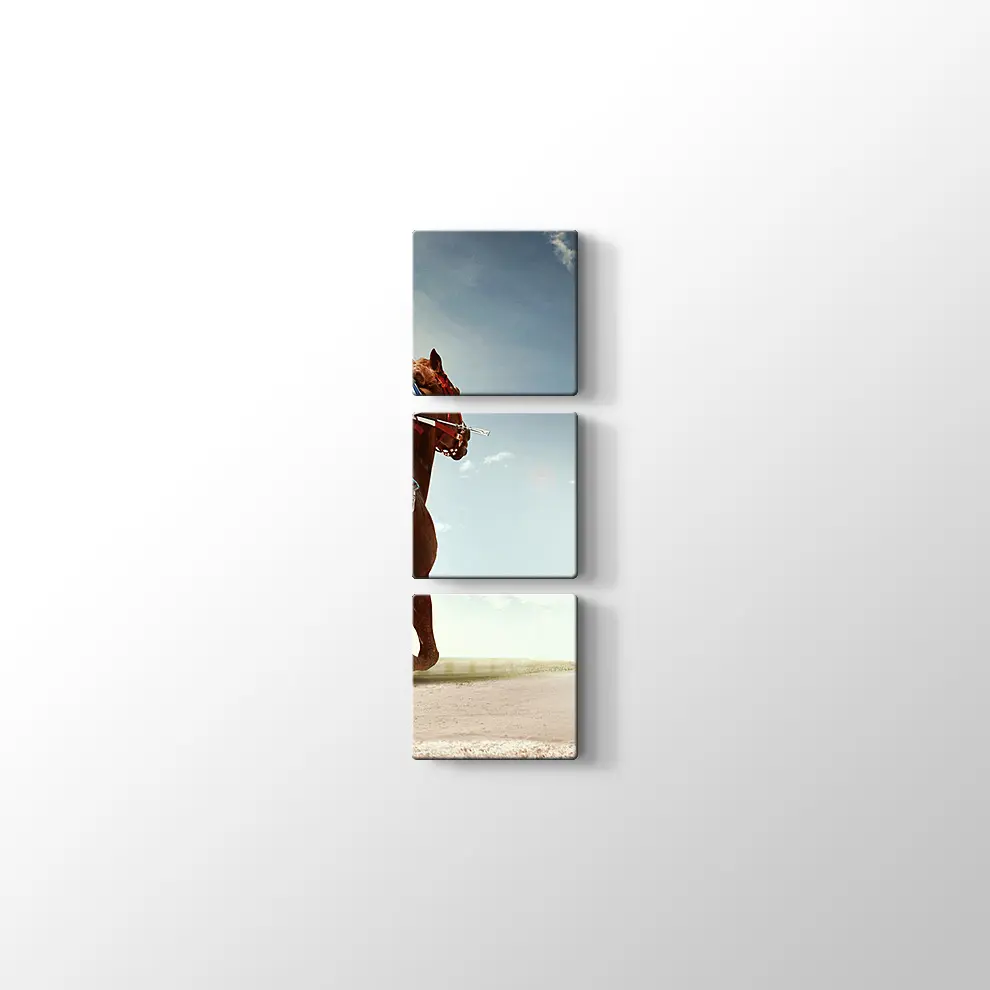 At ve Jokey Kanvas Tablo