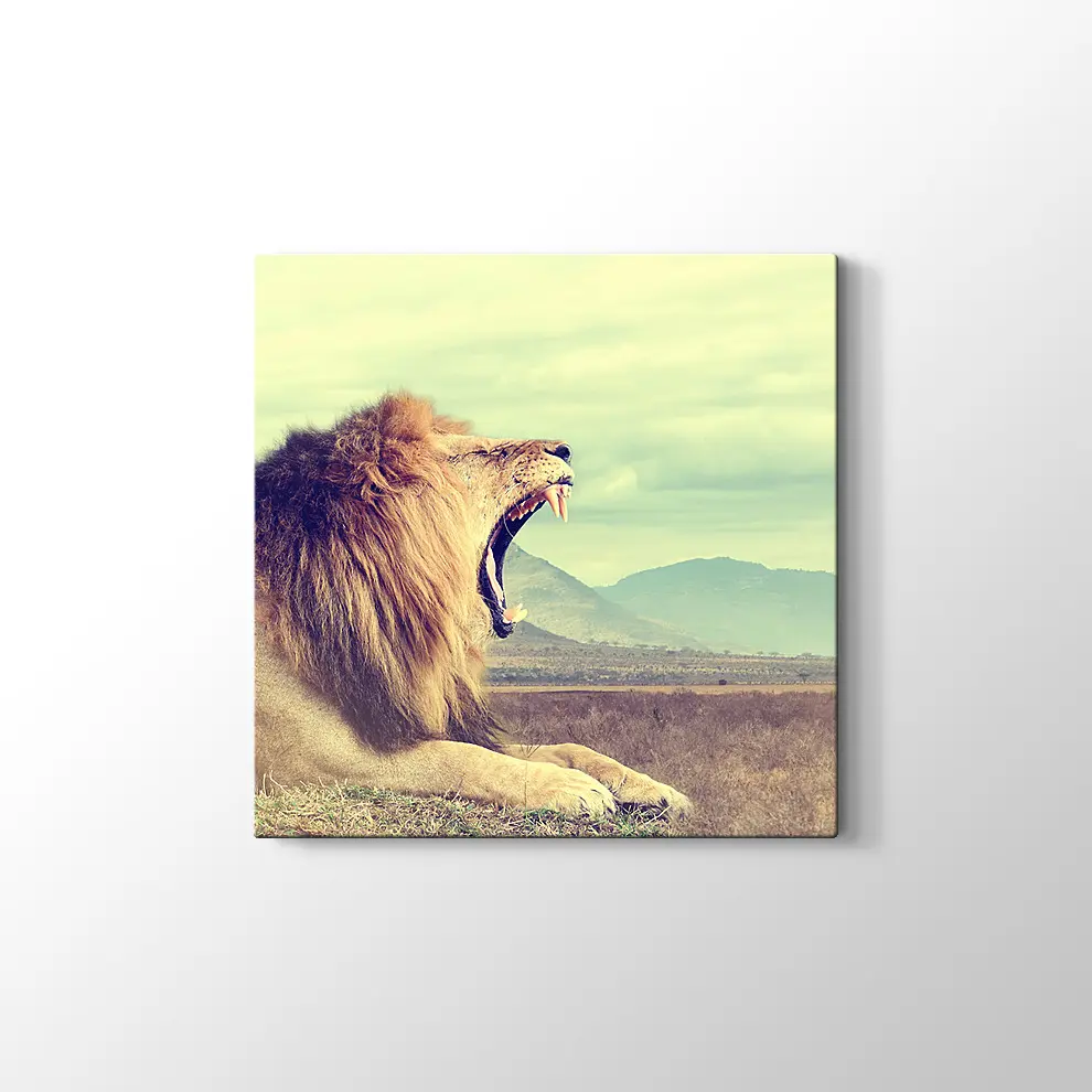 Kükreyen Aslan Kanvas Tablo