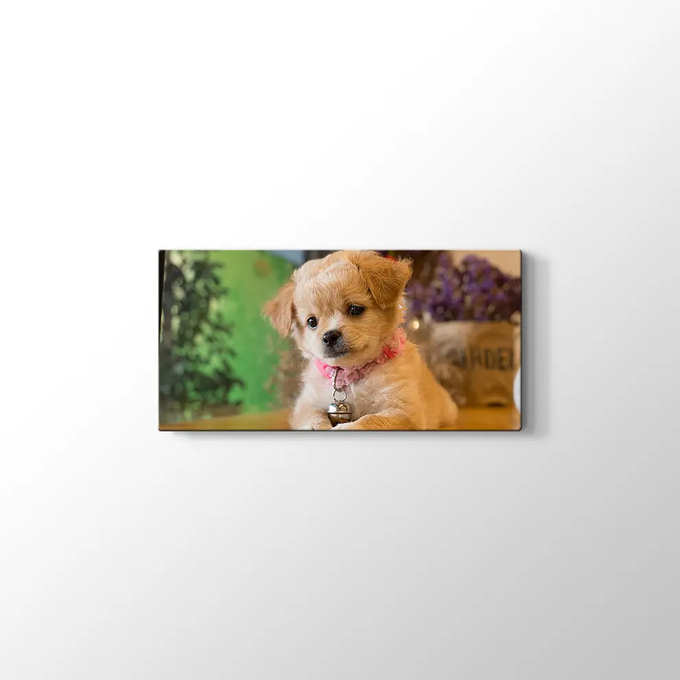 Yavru Köpek Kanvas Tablo