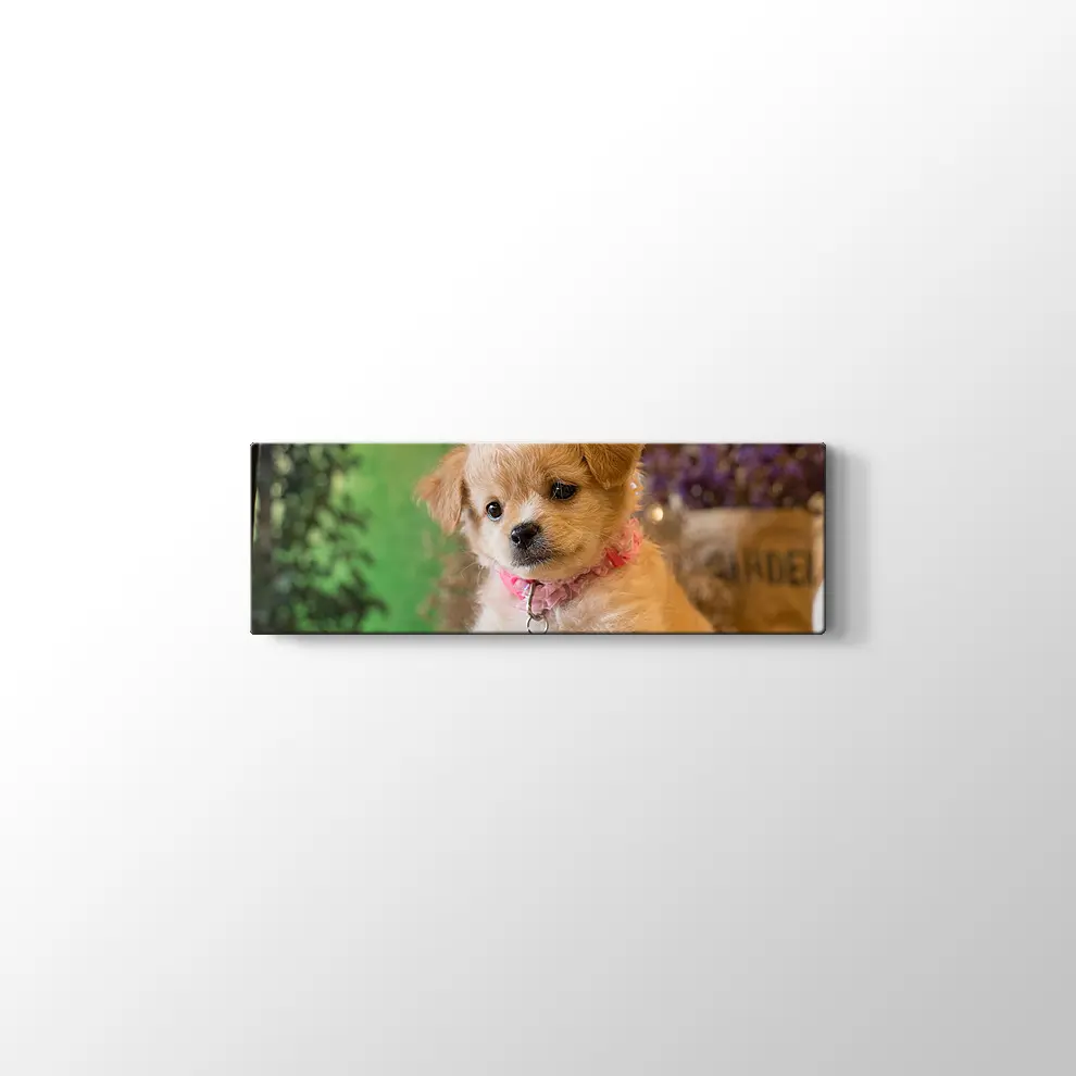 Yavru Köpek Kanvas Tablo