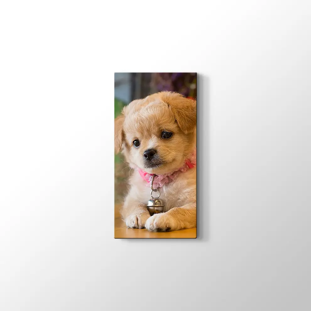 Yavru Köpek Kanvas Tablo