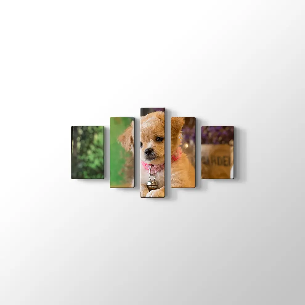 Yavru Köpek Kanvas Tablo