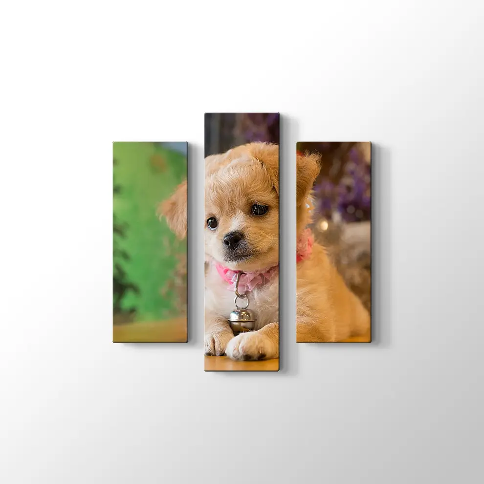 Yavru Köpek Kanvas Tablo