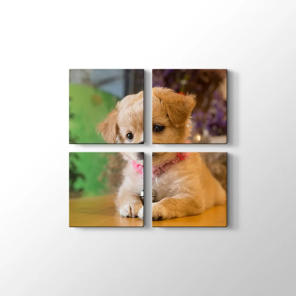 Yavru Köpek Kanvas Tablo