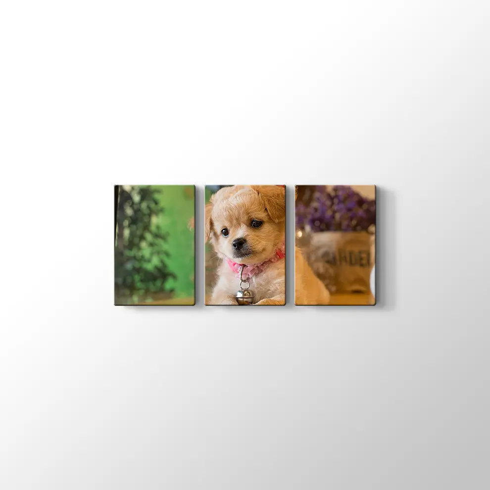 Yavru Köpek Kanvas Tablo