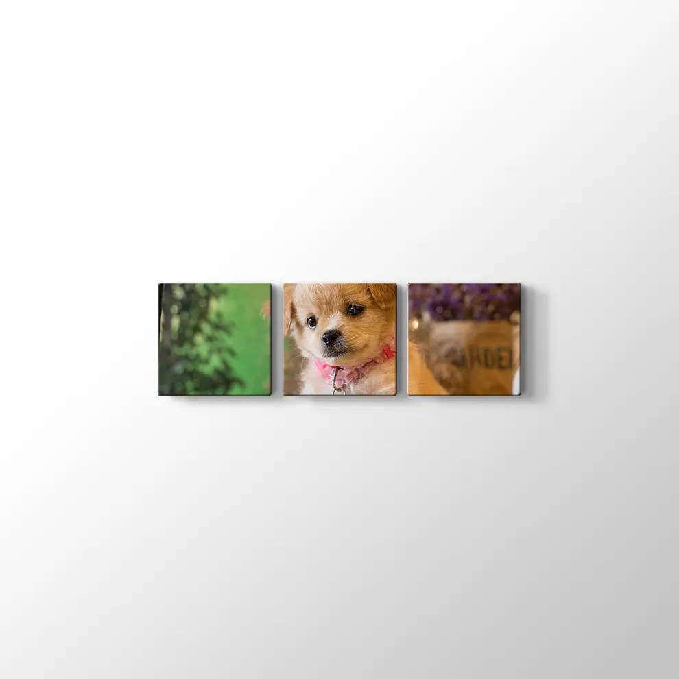 Yavru Köpek Kanvas Tablo