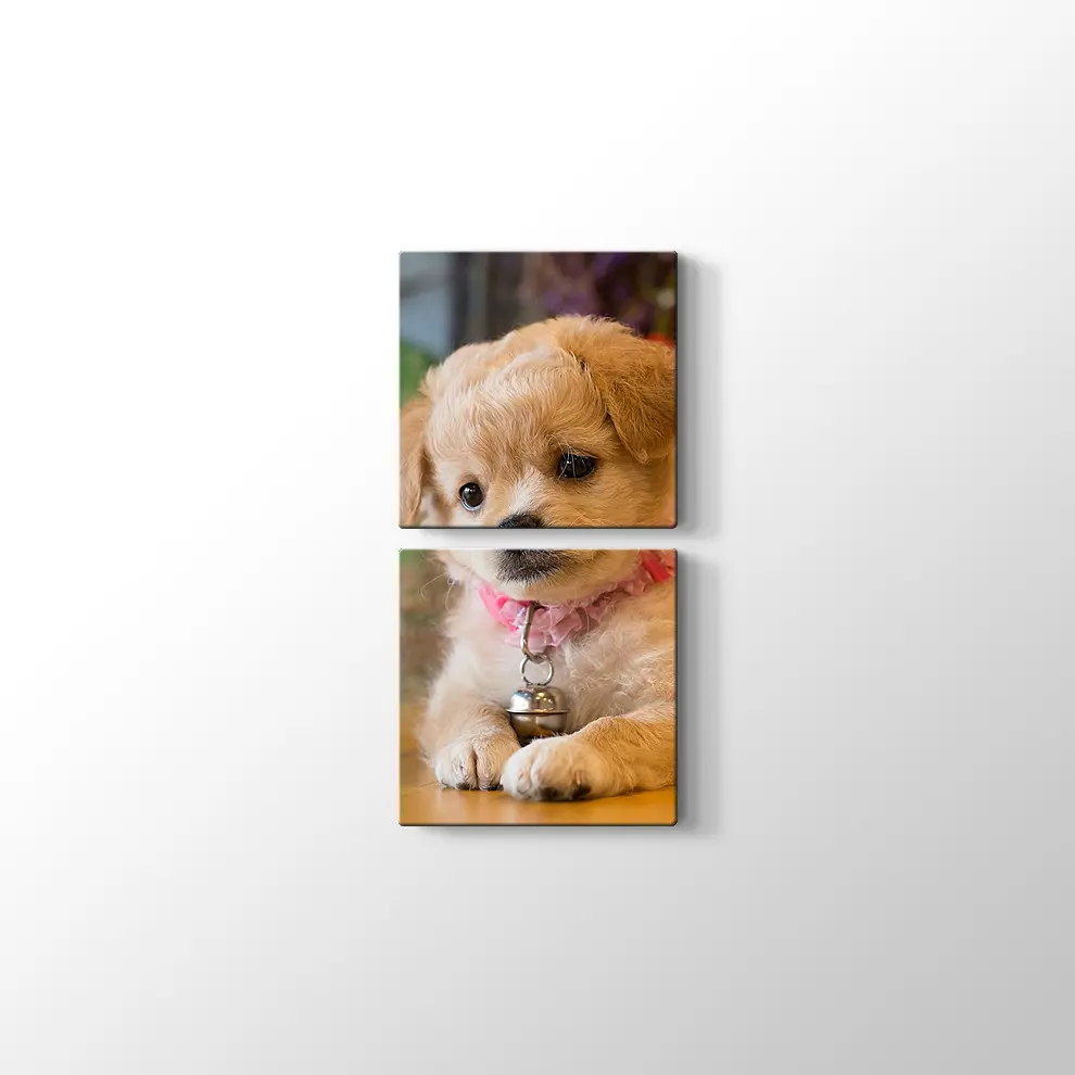 Yavru Köpek Kanvas Tablo