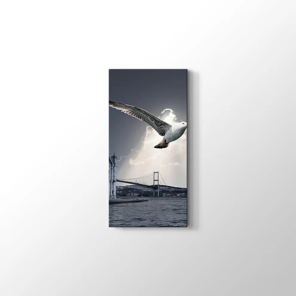 Ortaköy ve Martı Kanvas Tablo