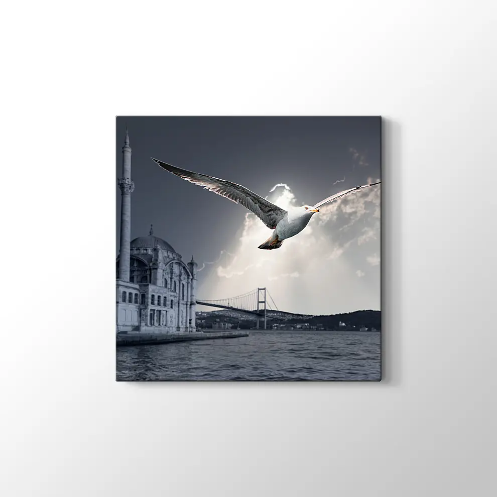 Ortaköy ve Martı Kanvas Tablo