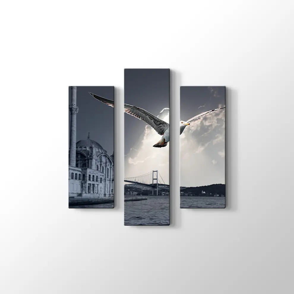 Ortaköy ve Martı Kanvas Tablo