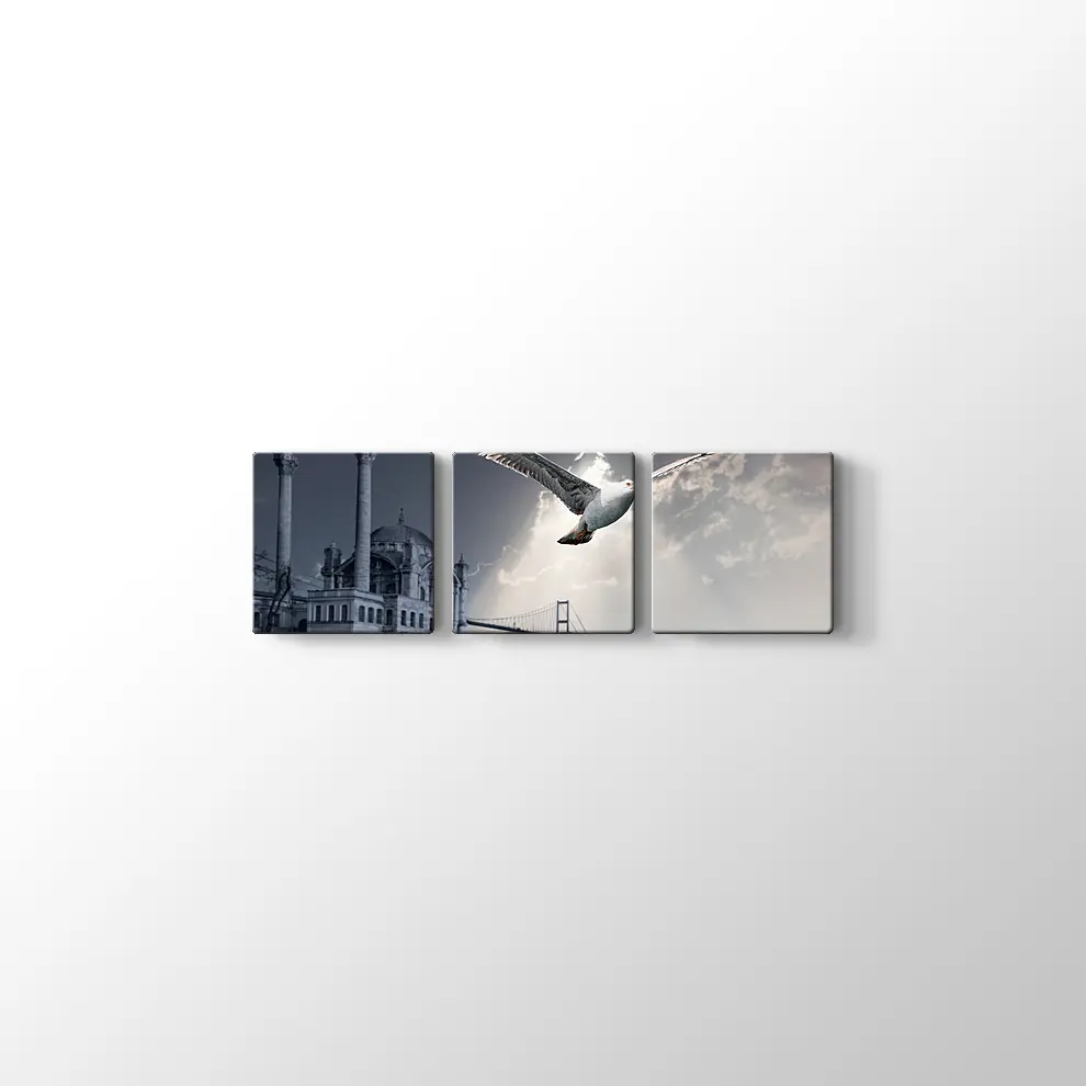 Ortaköy ve Martı Kanvas Tablo