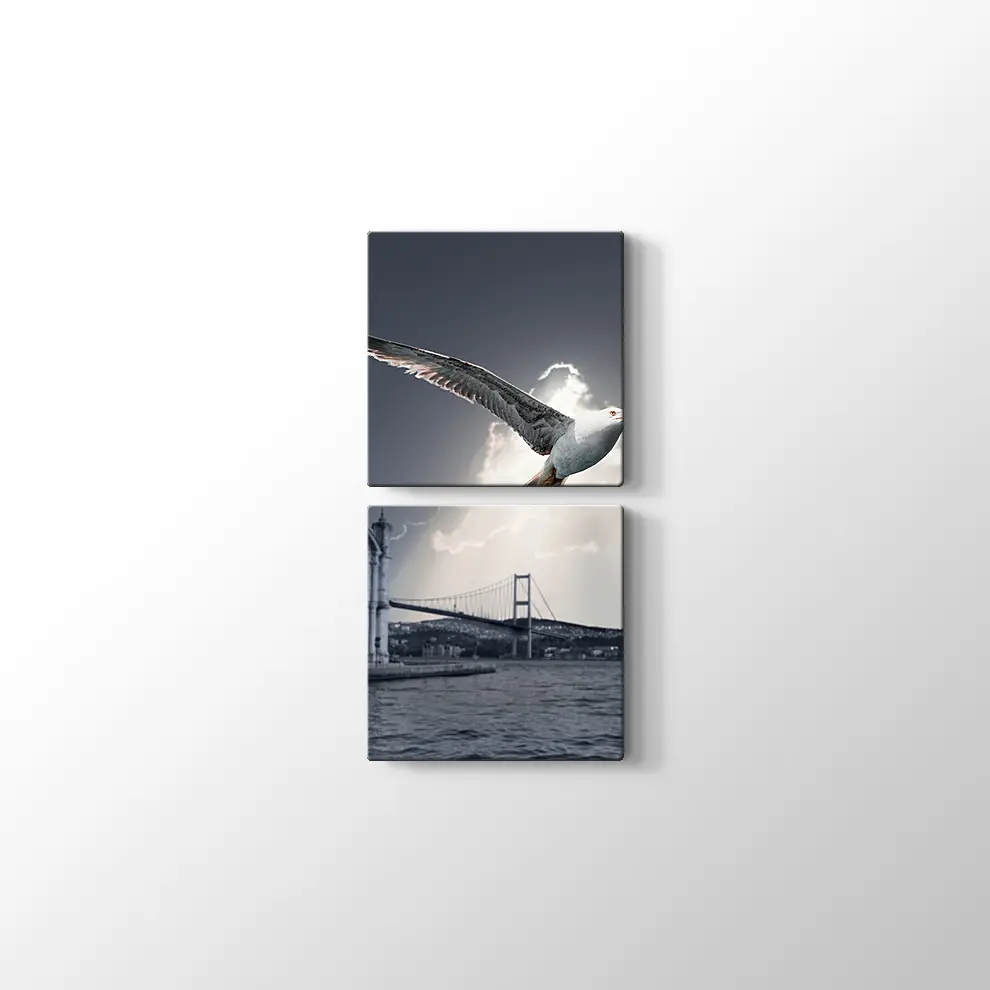 Ortaköy ve Martı Kanvas Tablo