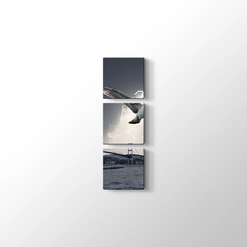 Ortaköy ve Martı Kanvas Tablo