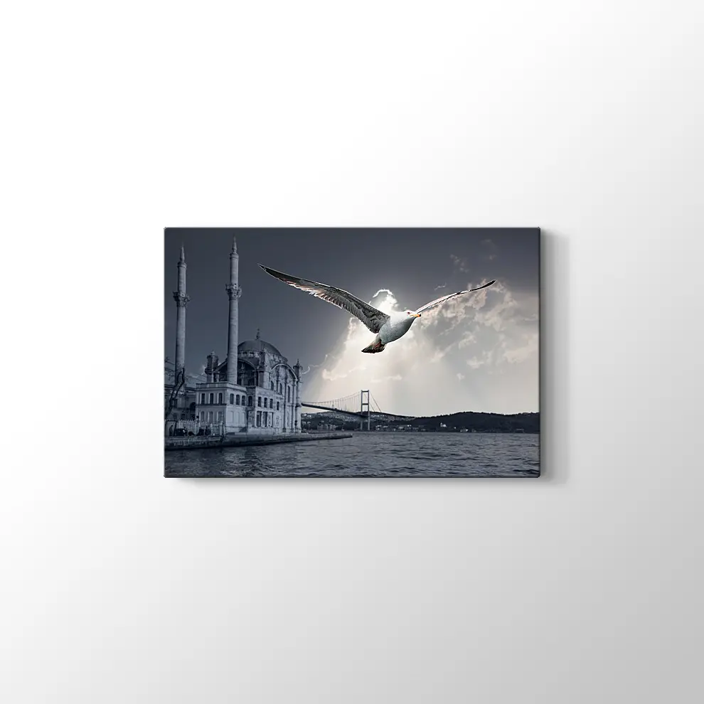 Ortaköy ve Martı Kanvas Tablo