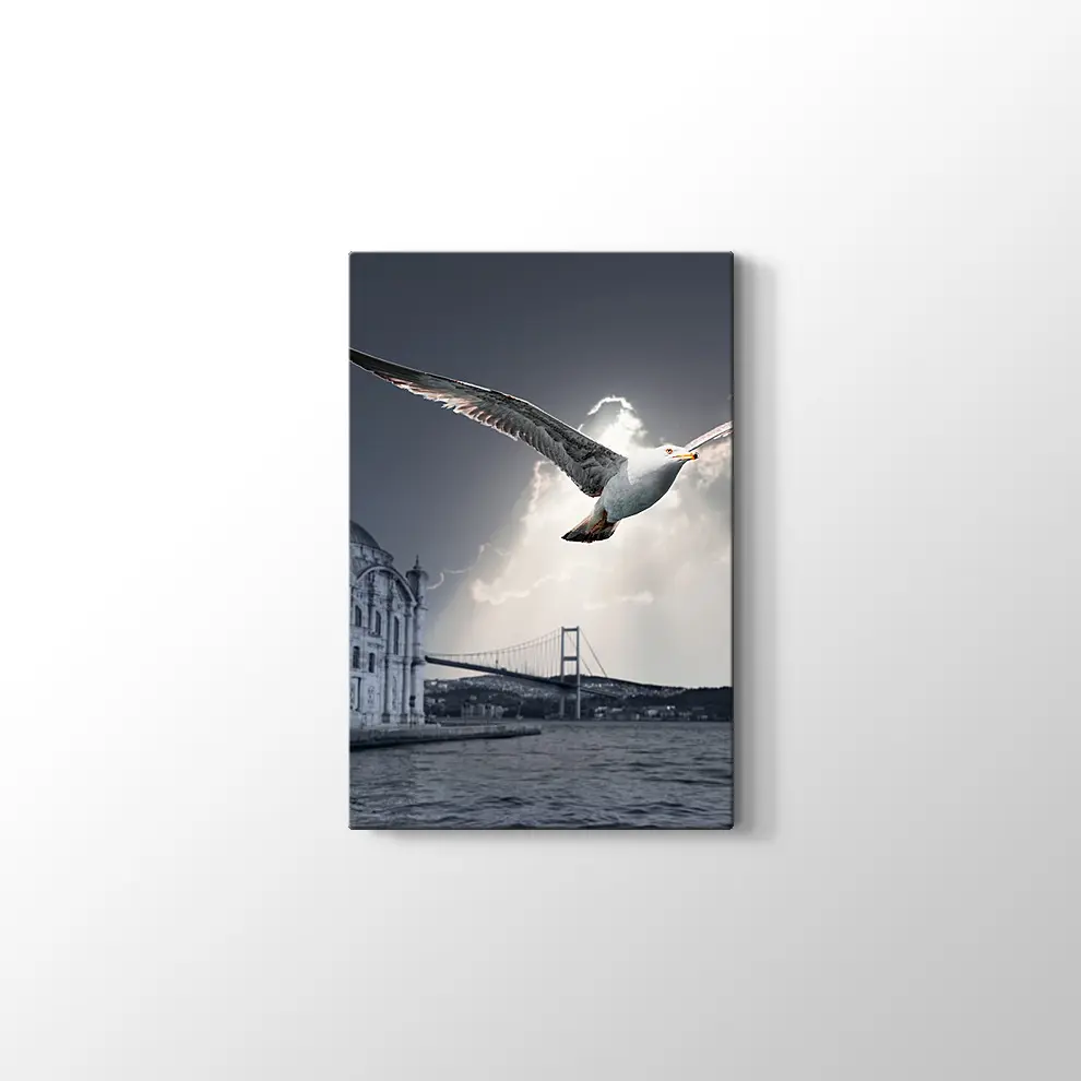 Ortaköy ve Martı Kanvas Tablo