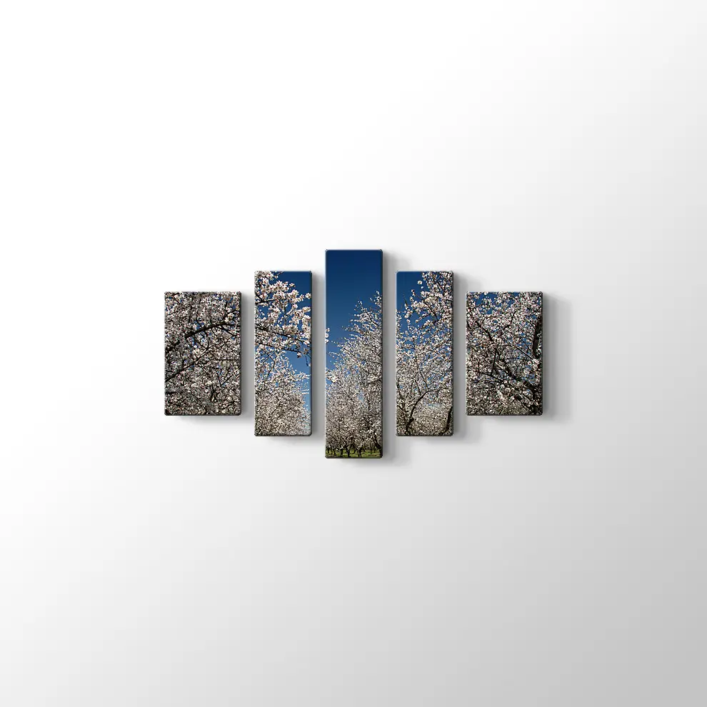 Badem Çiçekleri Kanvas Tablo