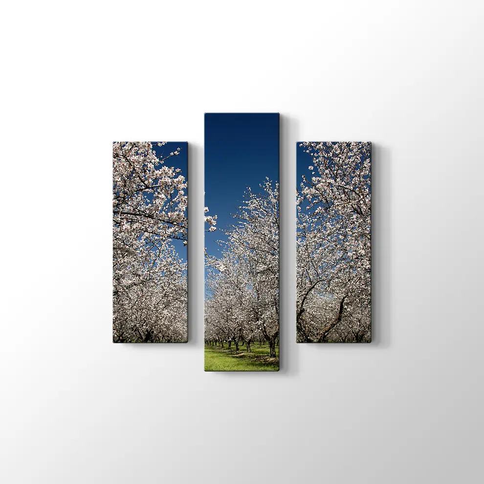 Badem Çiçekleri Kanvas Tablo