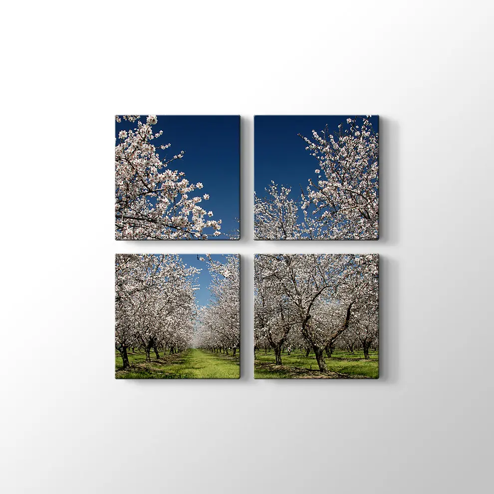 Badem Çiçekleri Kanvas Tablo