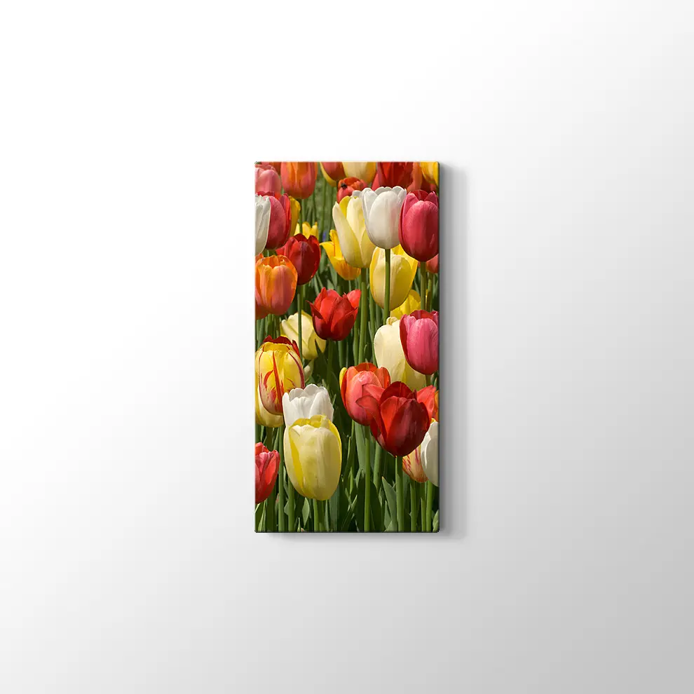 Laleler Kanvas Tablo