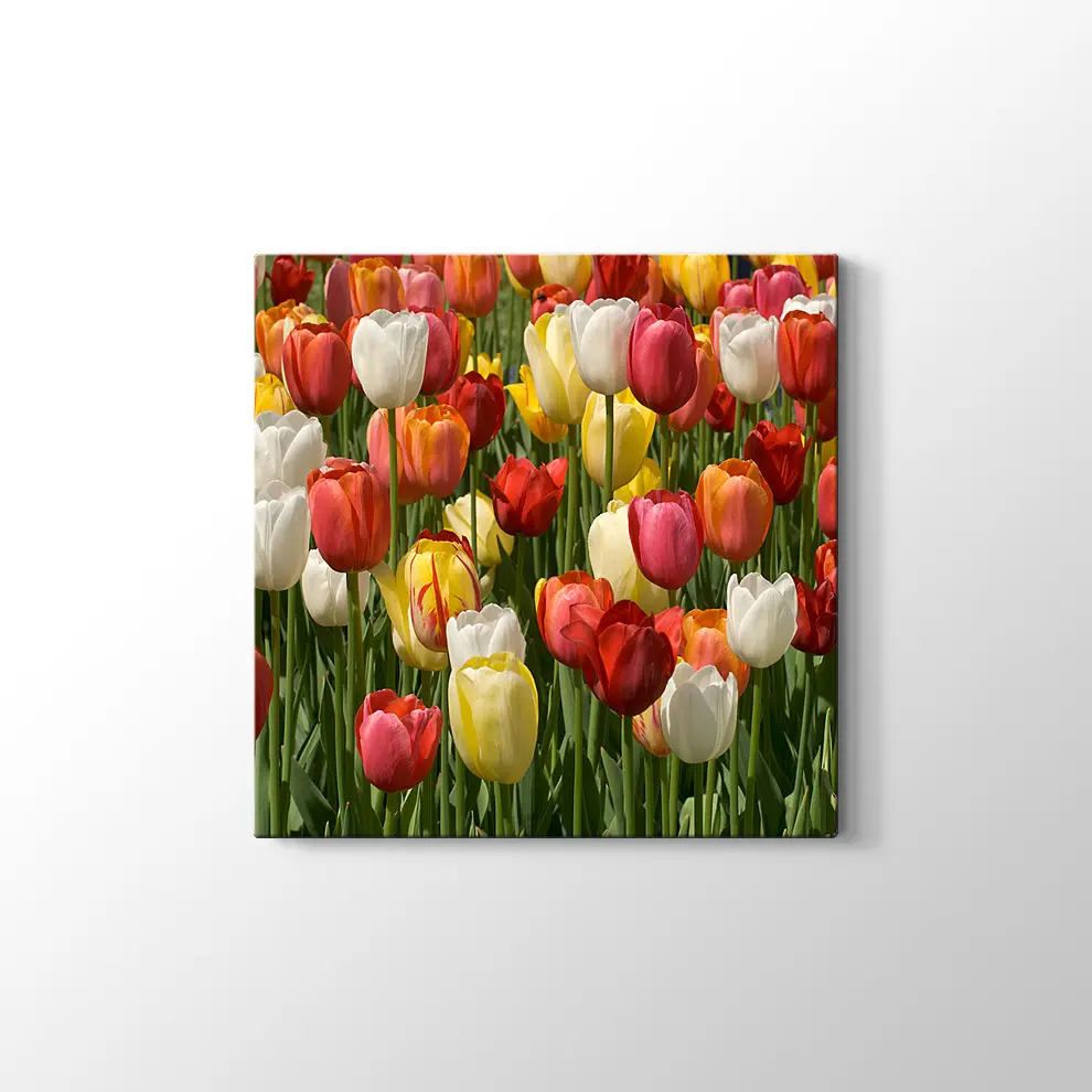 Laleler Kanvas Tablo