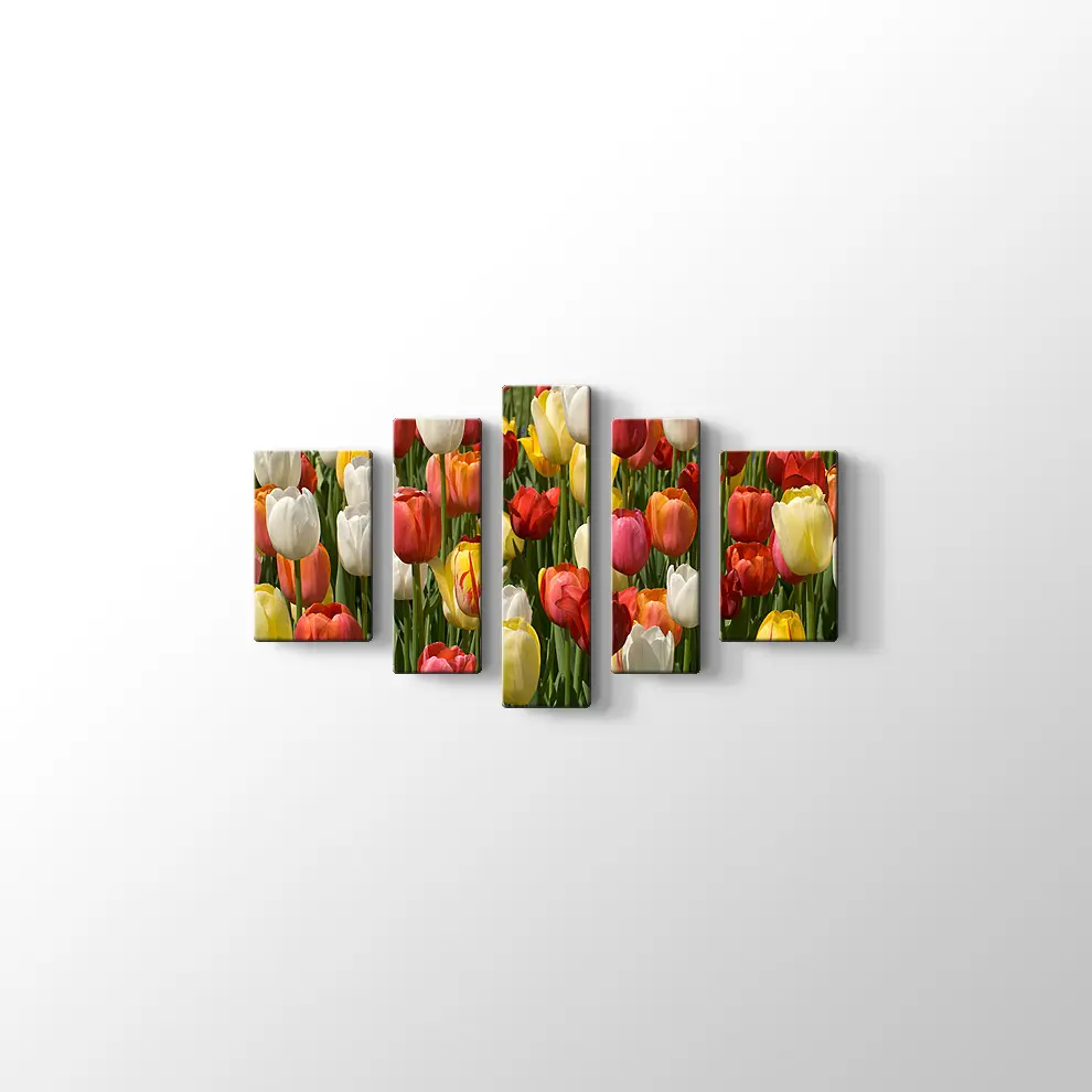 Laleler Kanvas Tablo