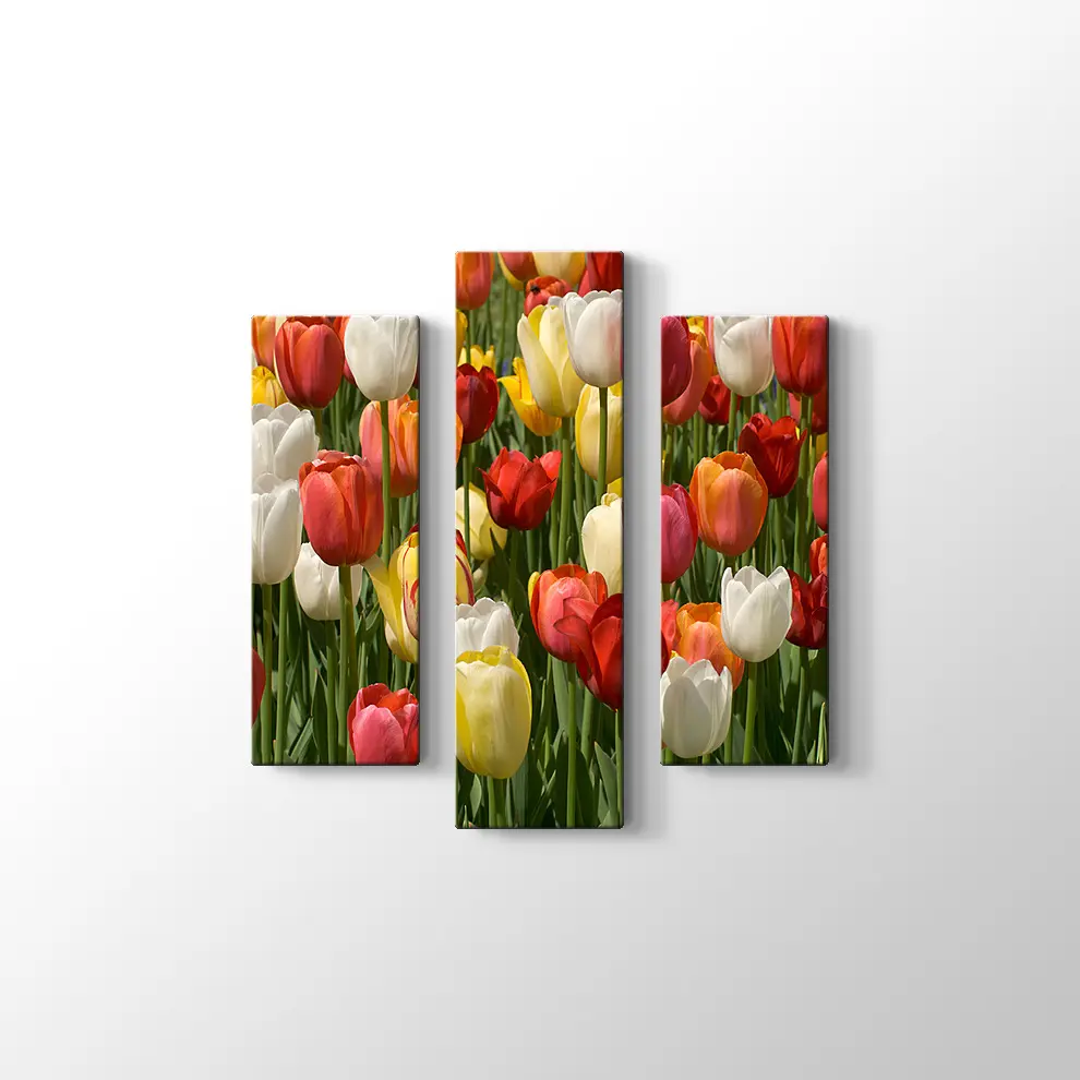 Laleler Kanvas Tablo