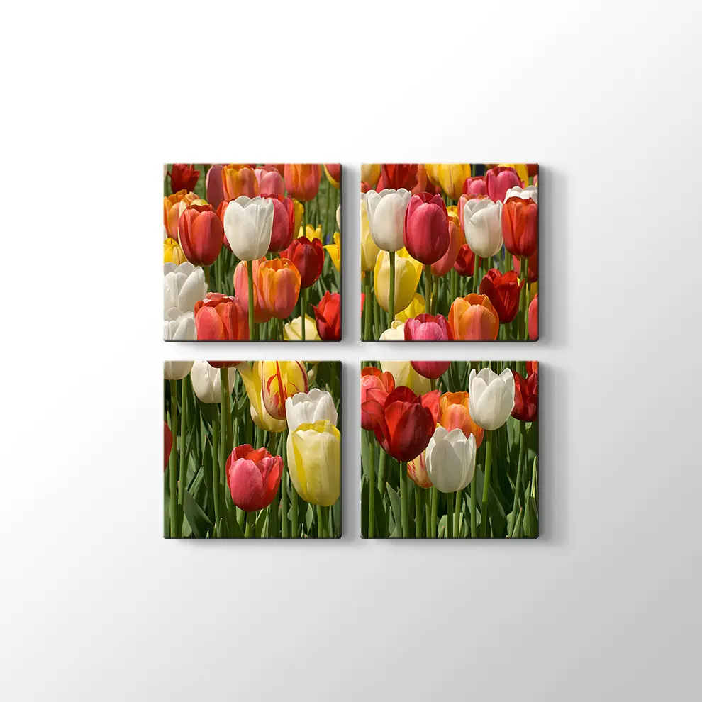 Laleler Kanvas Tablo
